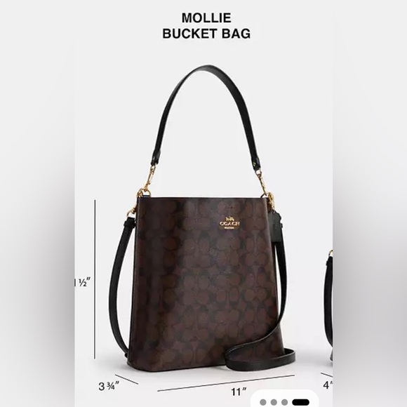 SOLD Coach mollie bucket bag - Picture 2 of 8